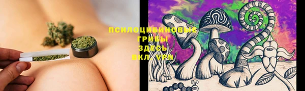 бутират Арсеньев
